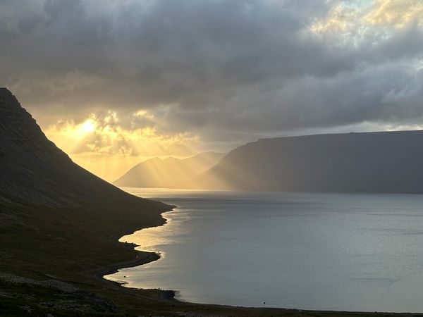 Driving the Fjords